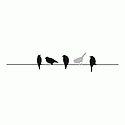 Penny Black - Birds On Wire