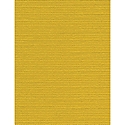 DCW Cardstock - Mustard (8.5 X 11)