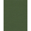 DCWV Cardstock - Flora 1 (8.5 X 11)