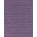 DCWV Cardstock - Purple 1 (8.5 X 11)