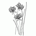 Penny Black - Fireworks