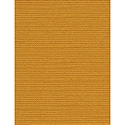 DCWV Cardstock - Rust 3 (8.5 X 11)