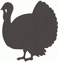 QuicKutz Die - Turkey
