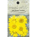 Pressed Petals - Yellow Daisy Flower Confetti
